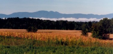 Morning mist rising over the lower fields of Martin Van Buren's farm.